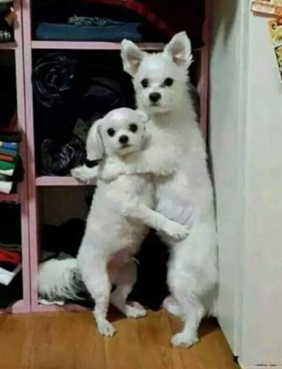 순백의 원피스를 입고 그네를 타보았다.jpg_4.jpg