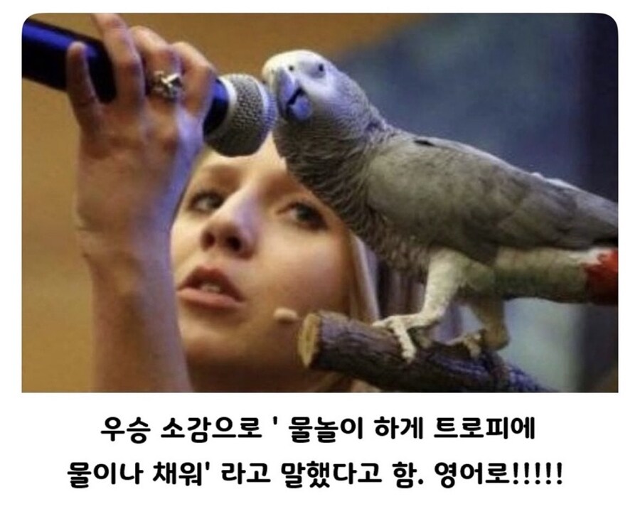 앵무새의 말하기대회에서 우승자의 소감_1.jpg