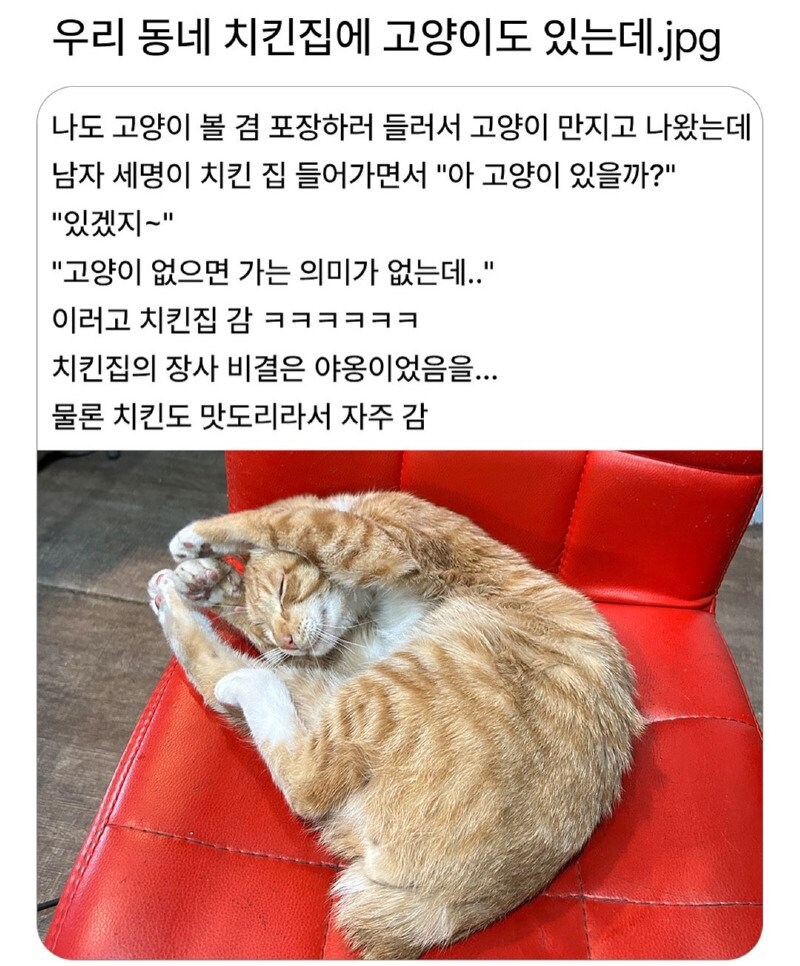 동네 치킨집 인기 비결_1.jpg