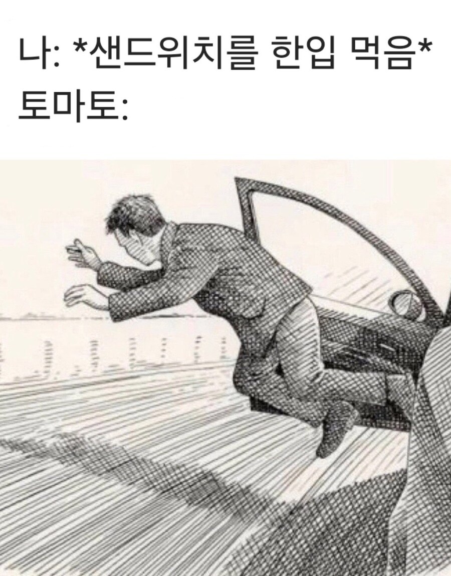 샌드위치를 먹을 때 토마토가 보여주는 리액션_1.jpg