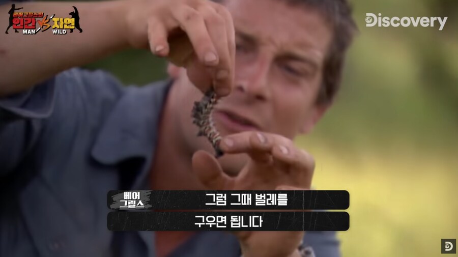벌레도 구워먹었던 베어 그릴스_1.png