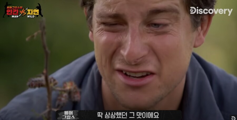 벌레도 구워먹었던 베어 그릴스_3.png