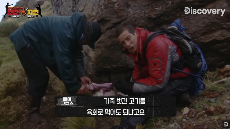 육회를 즐기는 베어 그릴스_1.png