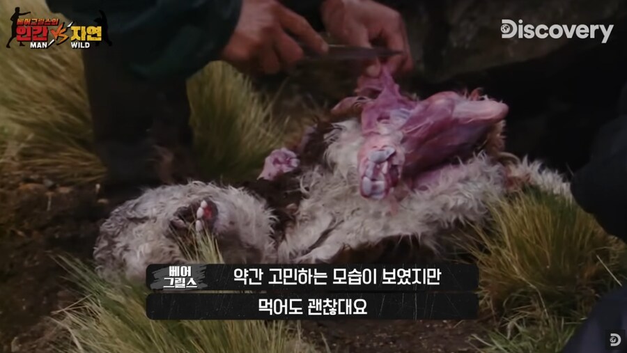 육회를 즐기는 베어 그릴스_2.png