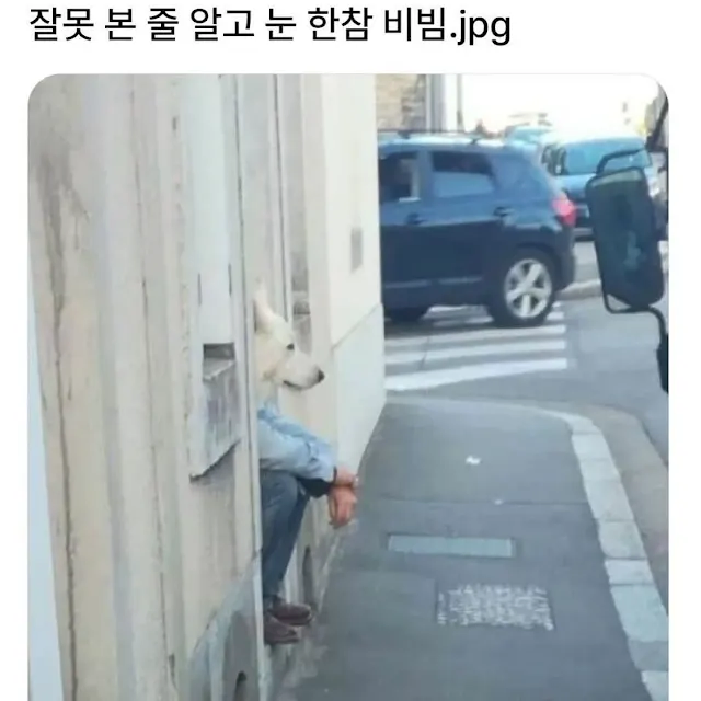 외국에서는 가끔 목격된다는 인종._1.webp