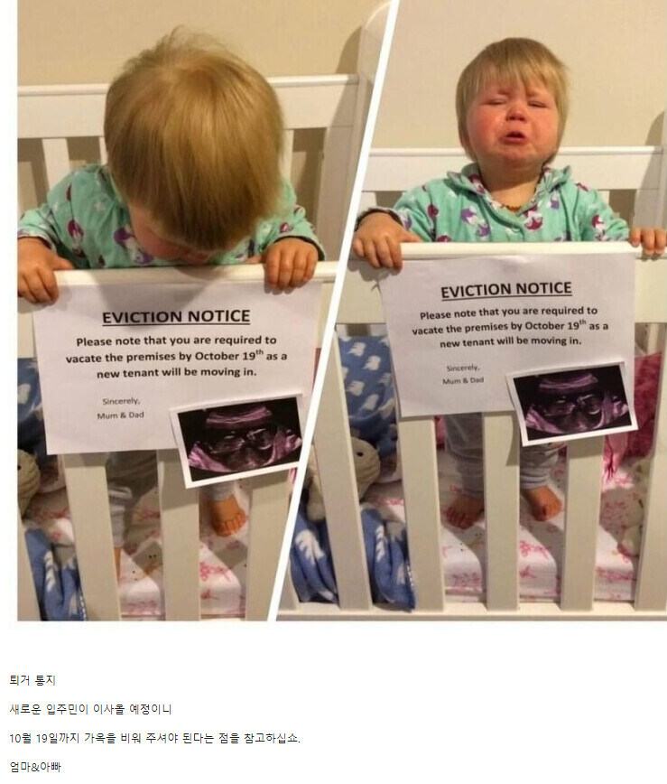 건물주에게 갑자기 퇴거통지 받아 오열하는 세입자_1.jpg