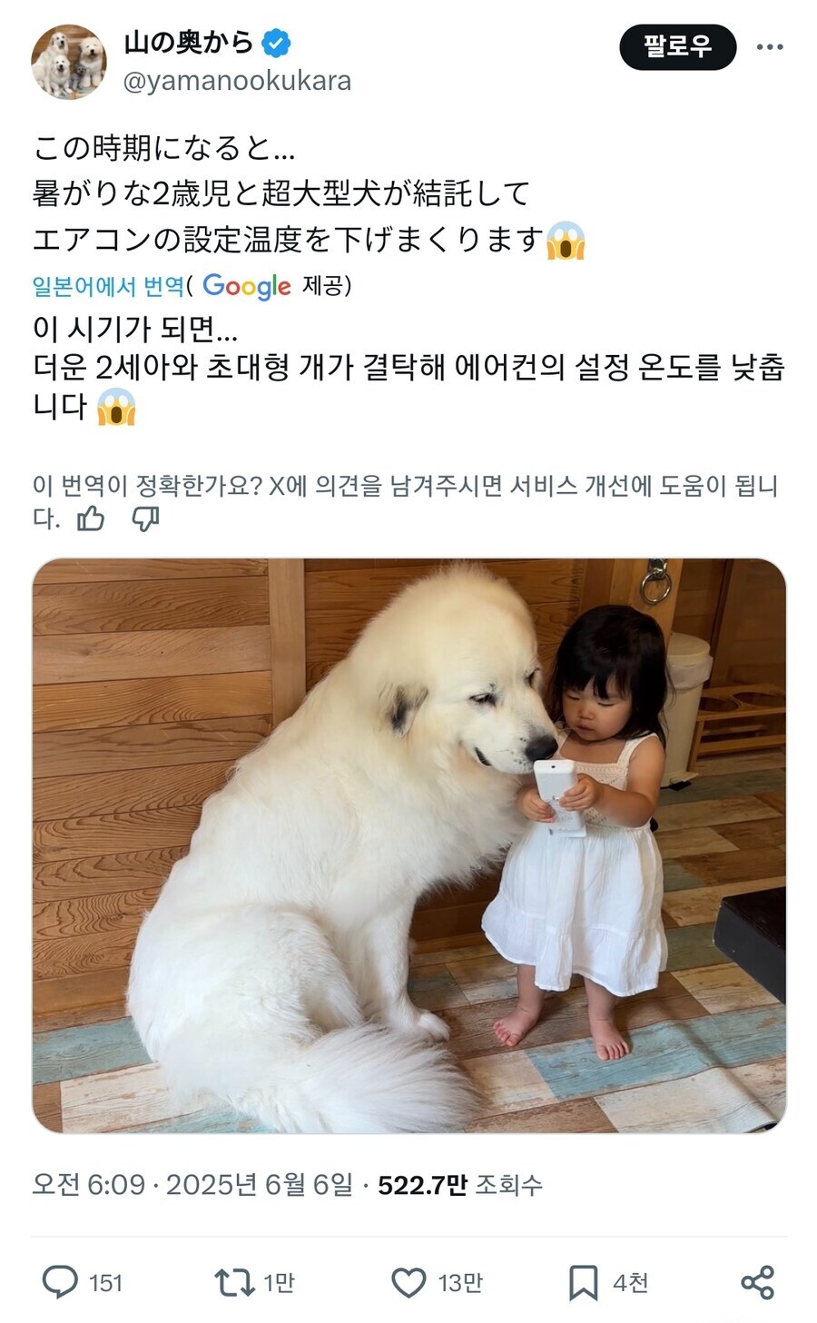 2세 딸과 멍뭉이의 작당모의.jpg_1.jpg