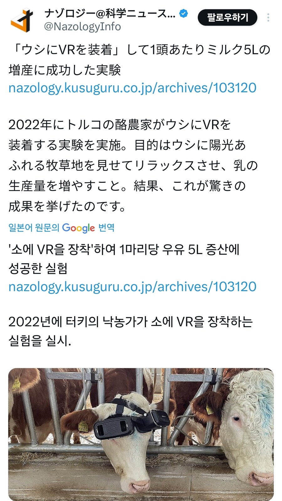 터키,