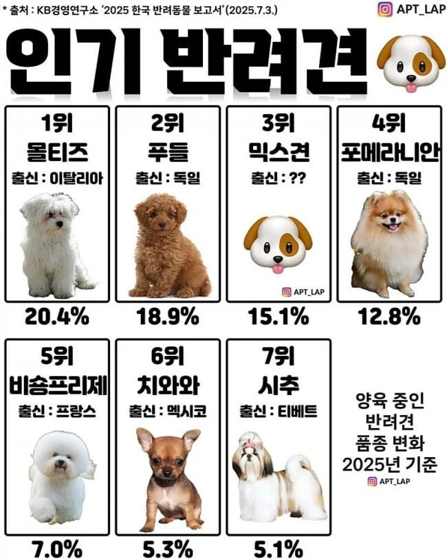 대한민국 인기 애완견 견종 순위.jpg_1.jpg