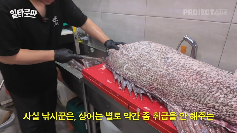 한국에서 1m이상 생선 잡아본 낚시꾼 별로 없다._4.png