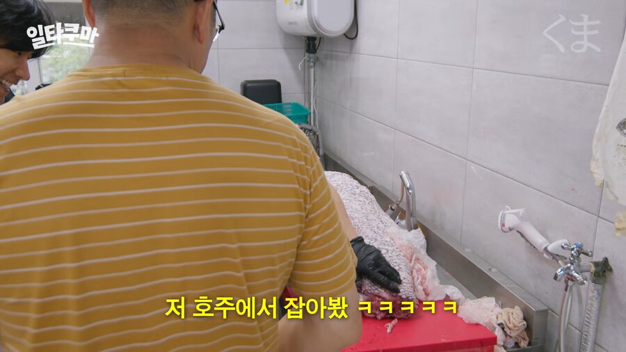 한국에서 1m이상 생선 잡아본 낚시꾼 별로 없다._8.png