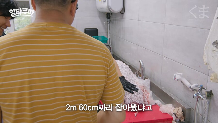 한국에서 1m이상 생선 잡아본 낚시꾼 별로 없다._9.png