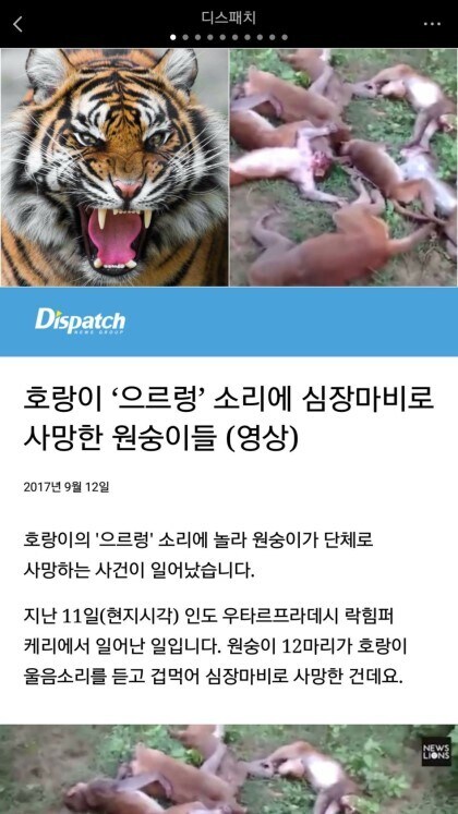 환세취호전 아타호의 기술: 맹호의 울부짖음.jpg_1.jpg
