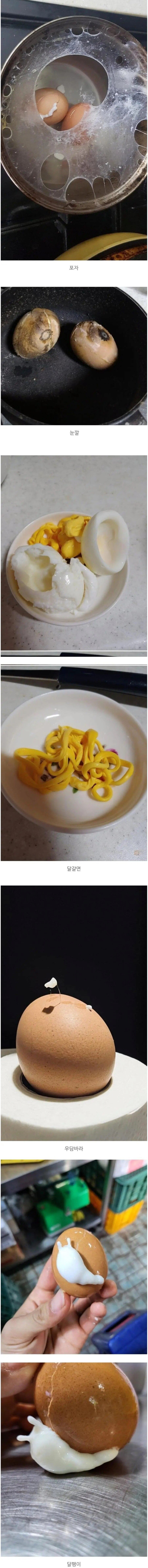 망한 삶은달걀 대회.jpg_1.png