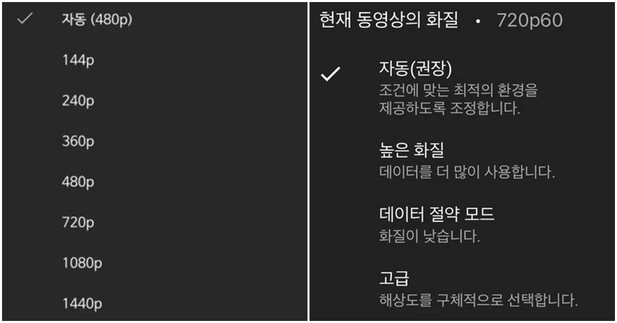 사람들이 잘 안 믿는 사실 3가지_3.webp
