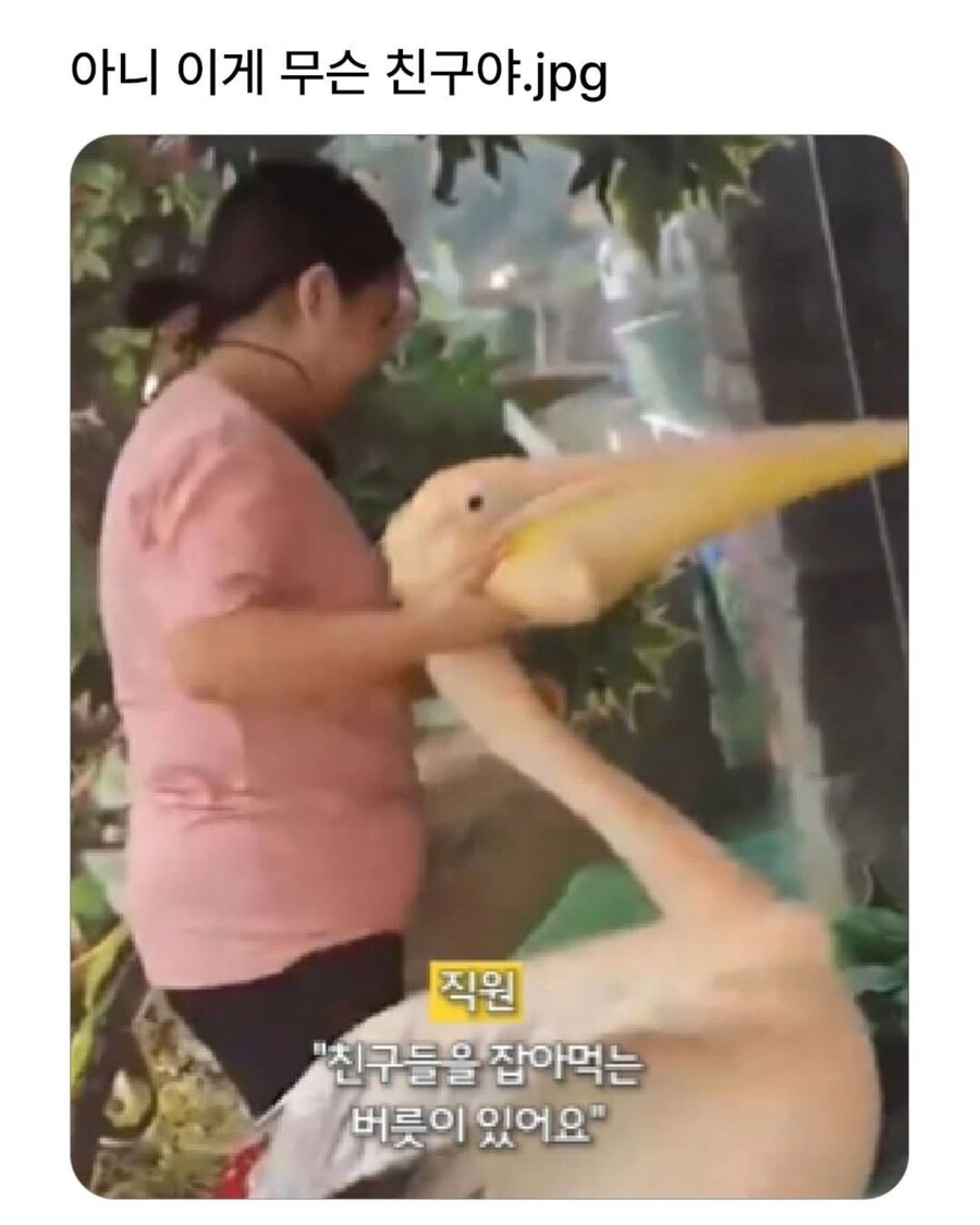 그들이 말하는