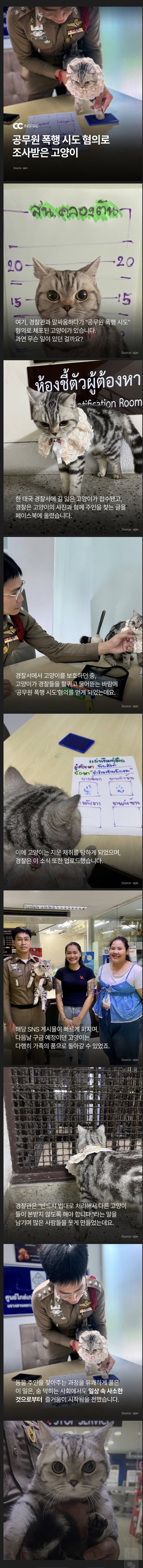 경찰을 폭행한 고양이_1.jpg