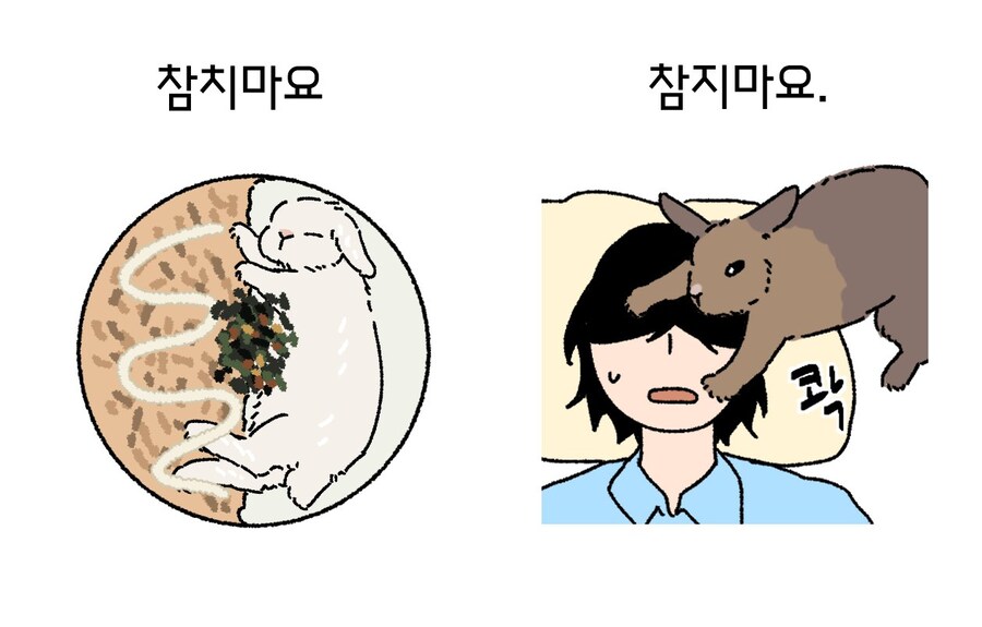 심해 토끼_3.jpg