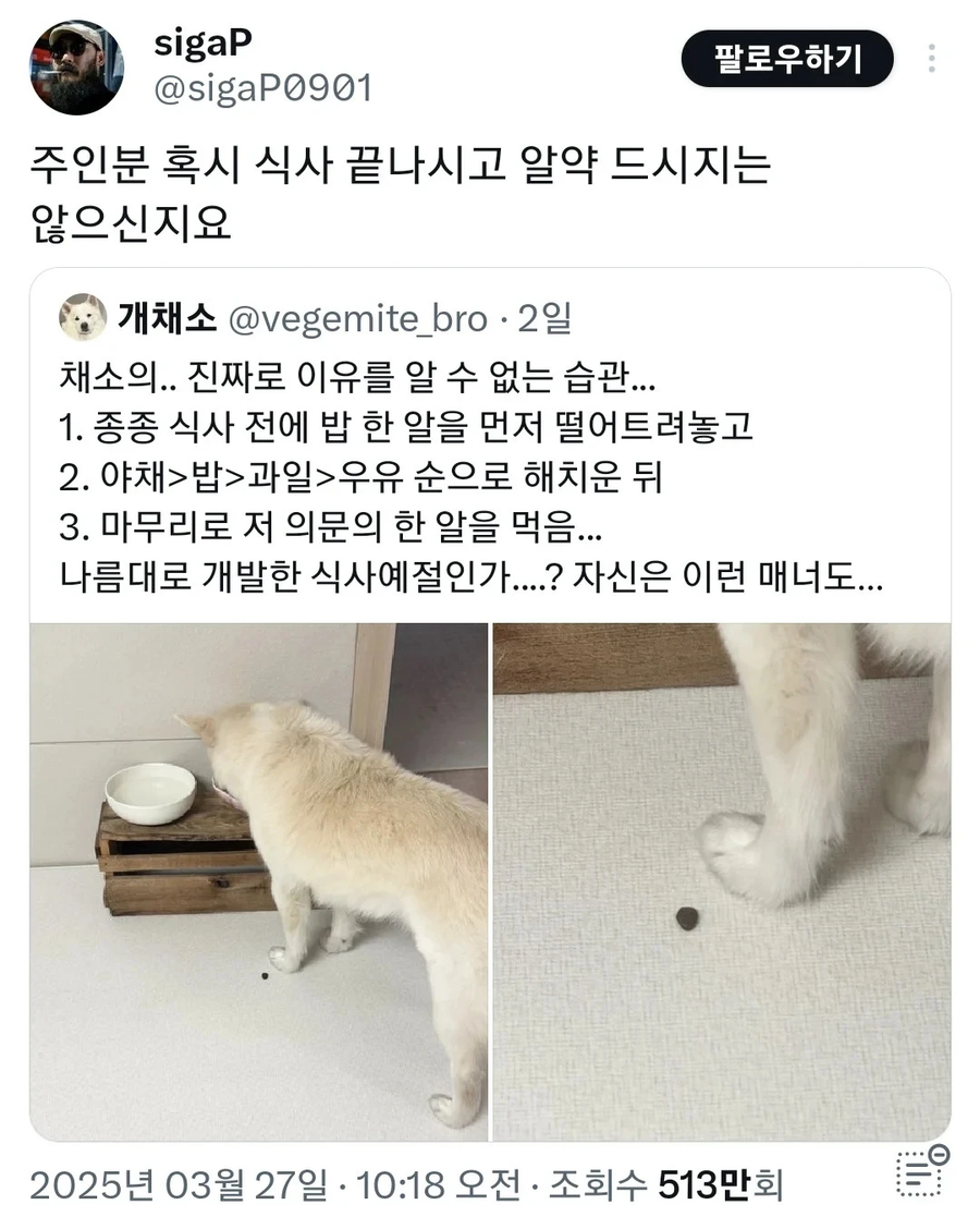 사료 맛이 별로군요 견점 1점 드립니다_1.webp