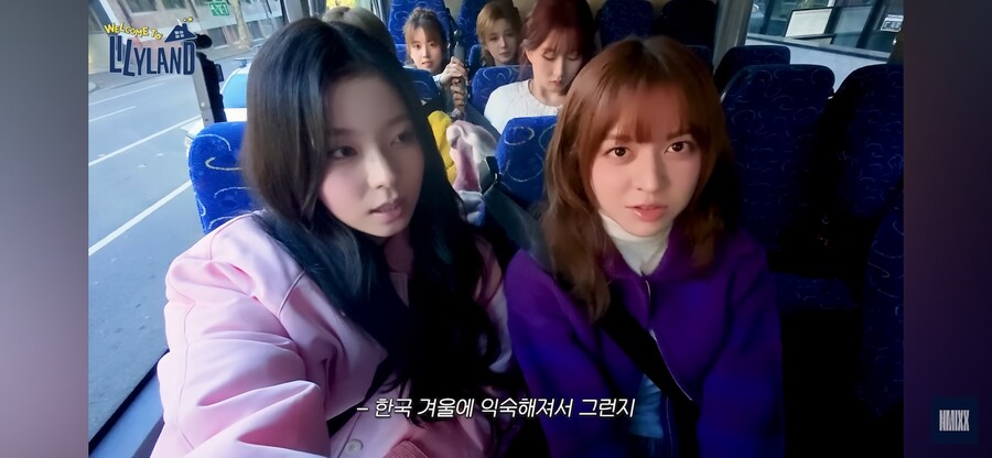 한국 살아서 추위 내성 획득한 엔믹스 릴리_1.png