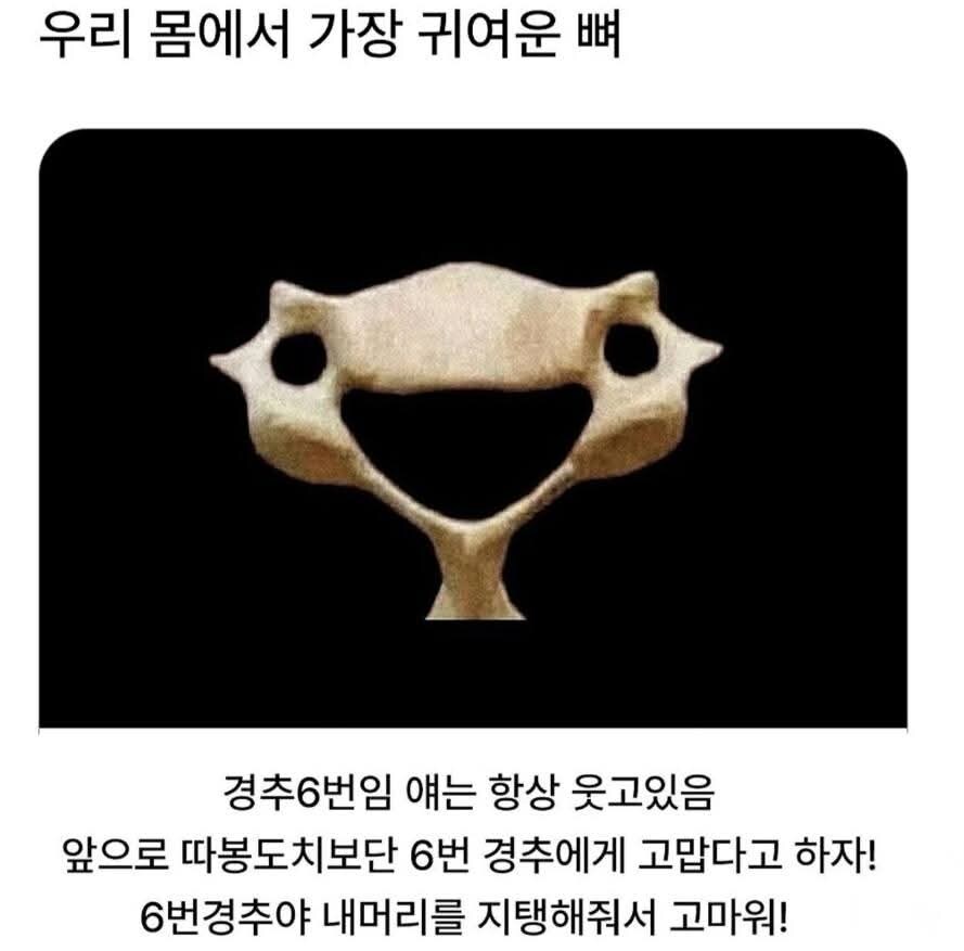 우리 몸에서 가장 귀여운 뼈_1.jpg