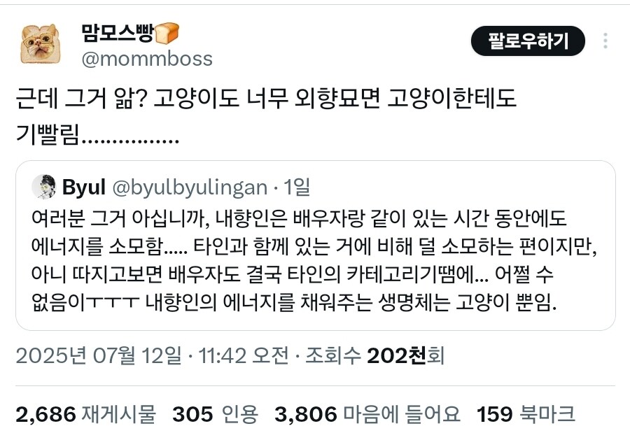 고양이 한테도 기 삘리는 내향인_3.jpg