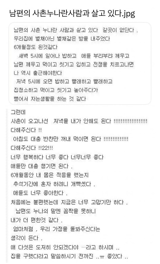 남편의 사촌누나와 같이 살고있어요_1.png