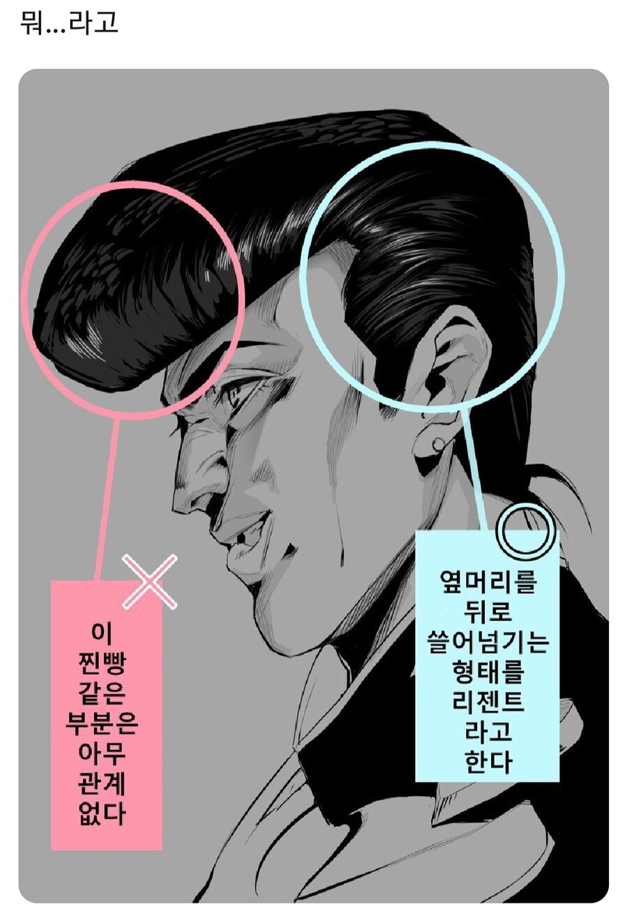 리젠트 헤어에 대한 설명_1.jpg