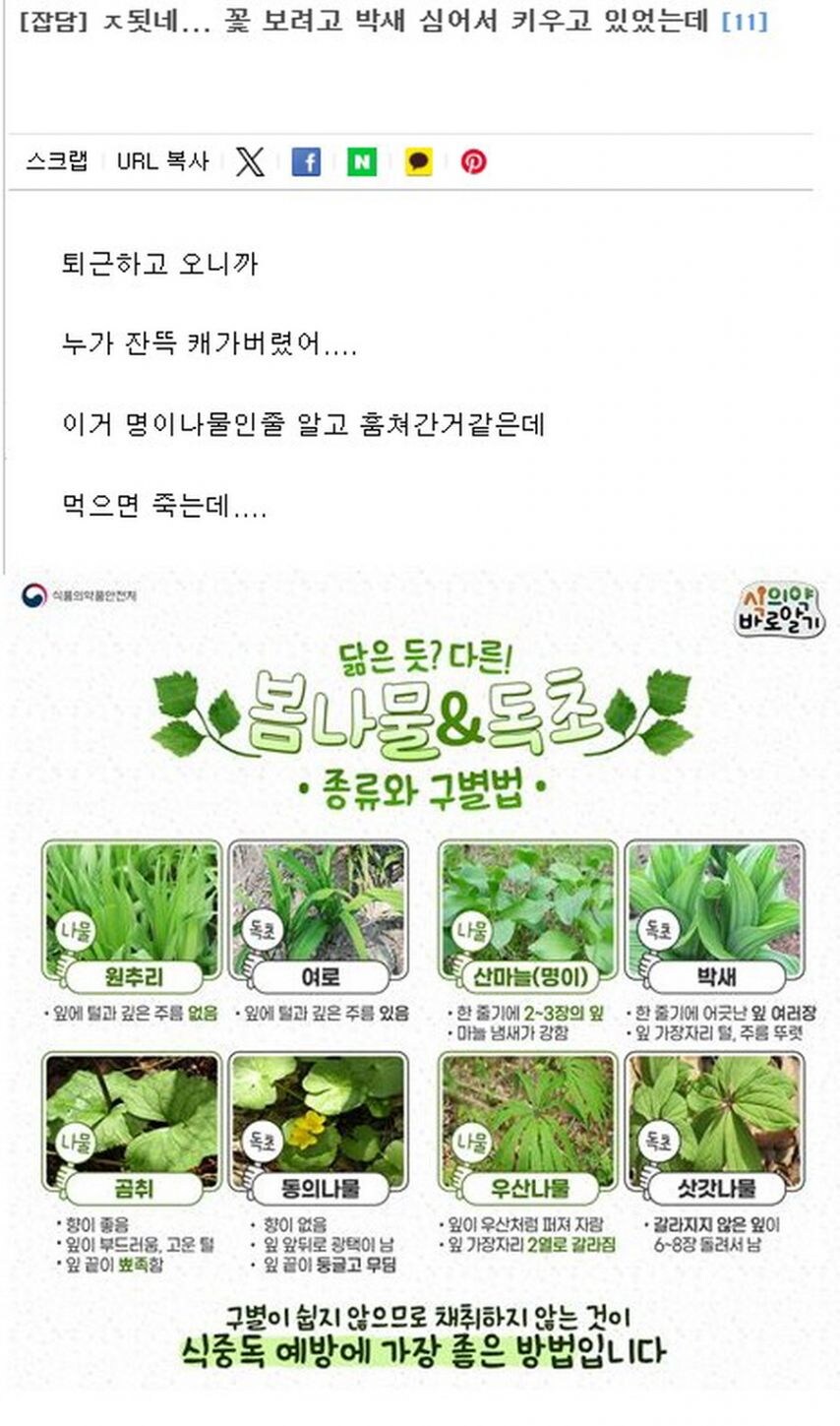 1년 농사 지은거 다 도둑 맞은 시골 청년 jpg_1.jpg