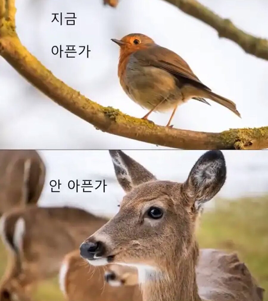 너무 걱정 많은 횐님들에게,,,,,한마디 놓고 갑니다,,,,jpeg_2.jpg
