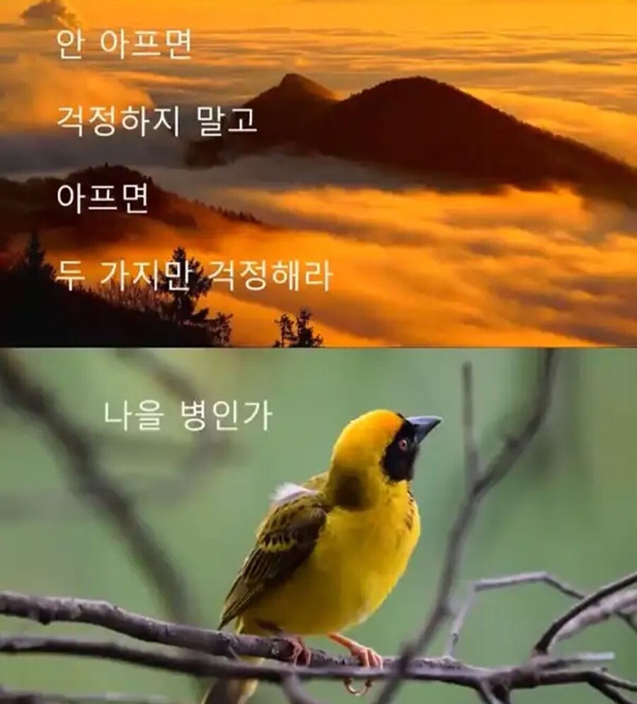 너무 걱정 많은 횐님들에게,,,,,한마디 놓고 갑니다,,,,jpeg_3.jpg