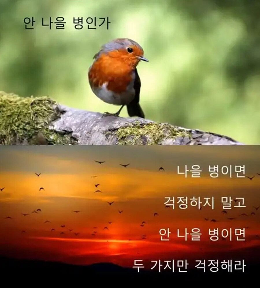 너무 걱정 많은 횐님들에게,,,,,한마디 놓고 갑니다,,,,jpeg_4.jpg