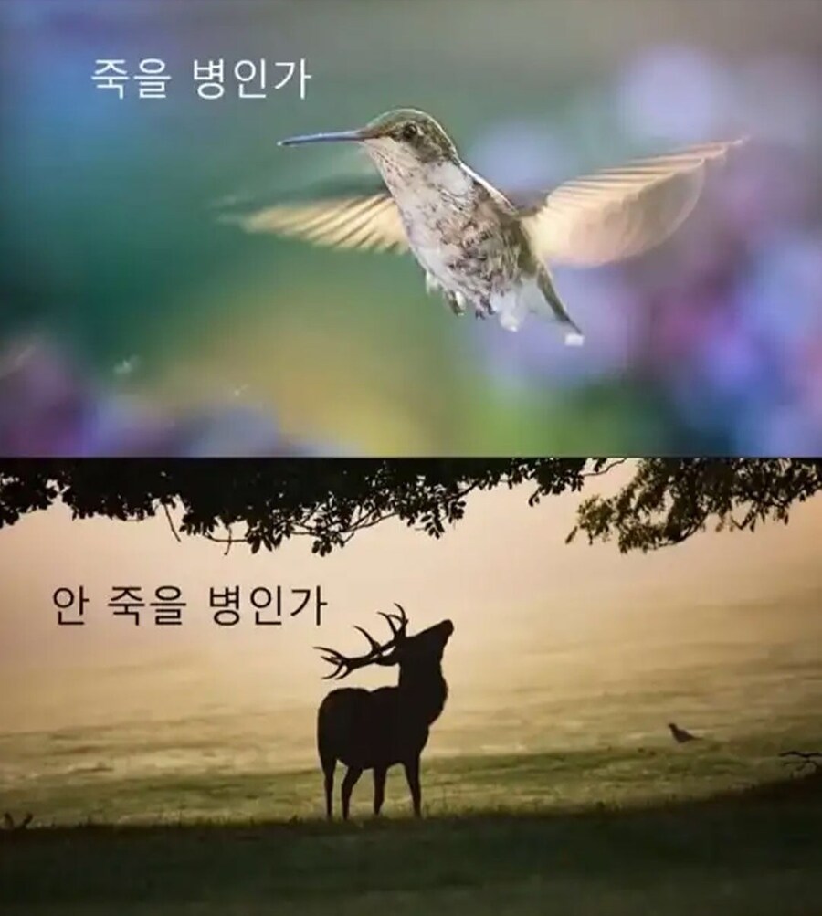 너무 걱정 많은 횐님들에게,,,,,한마디 놓고 갑니다,,,,jpeg_5.jpg