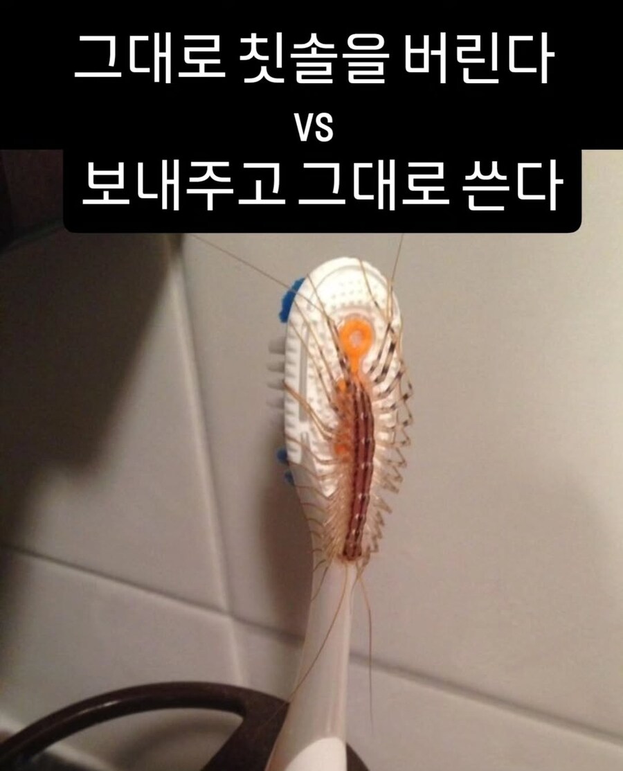 이 닦으려고 봤는데 칫솔이 이렇게 됐다.jpg_1.jpg
