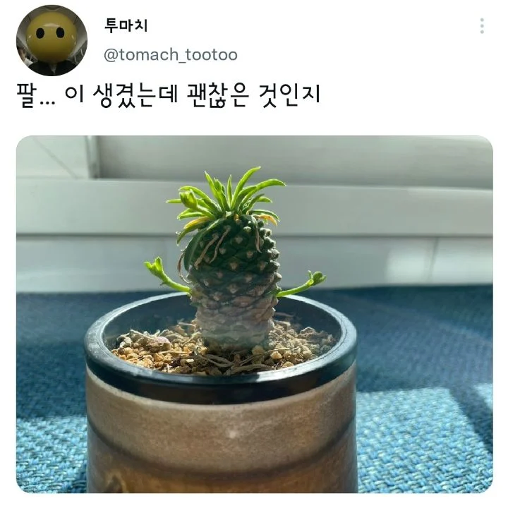 팔...이 생겼는데 괜찮은 것인지_1.webp