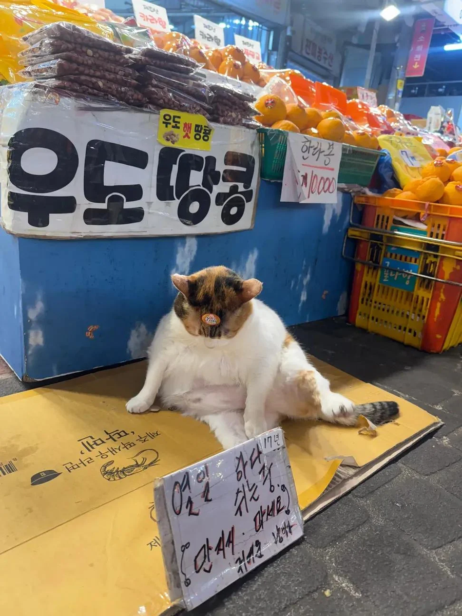 쉬는 직원 만지지 마세요_1.webp
