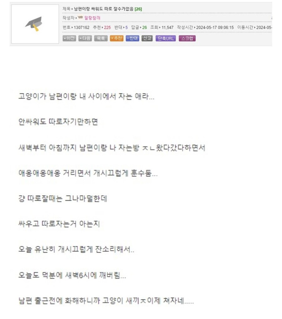 남편이랑 싸워도 따로 잘 수 없는 이유.jpg_1.jpg