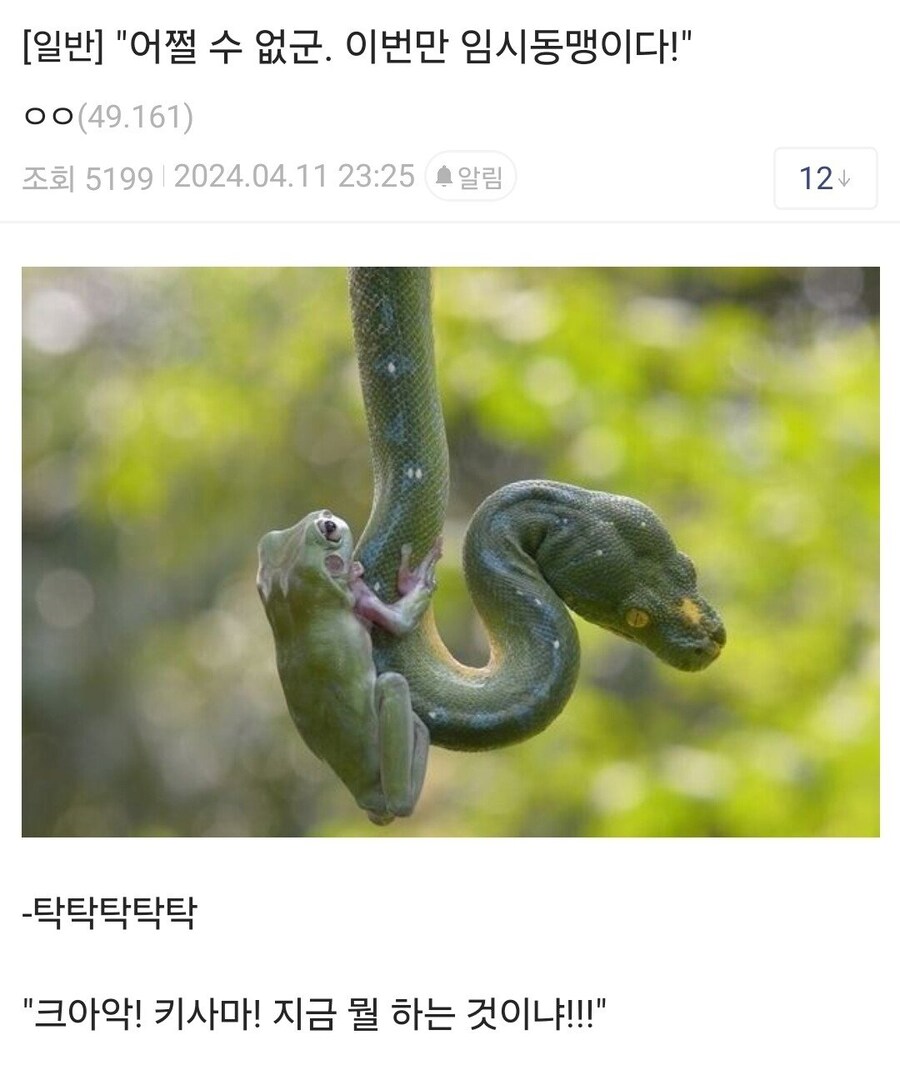 임시동맹의 클리셰.jpg_1.jpg
