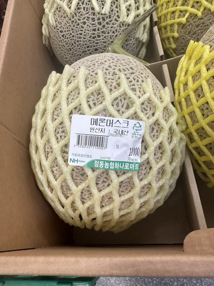일론 머스크 동생 있는줄은 몰랐내_1.jpg