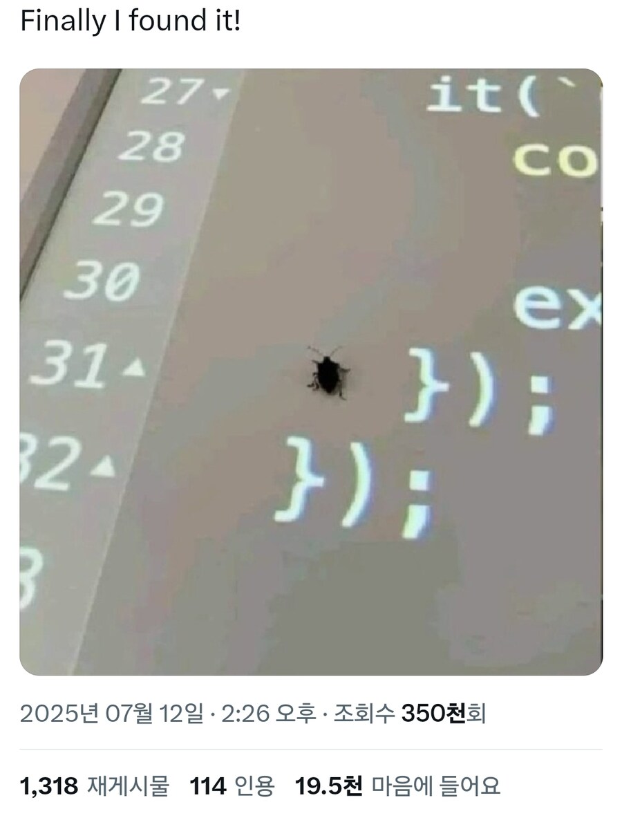 버그를 찾아낸 프로그래머.bug_1.jpg