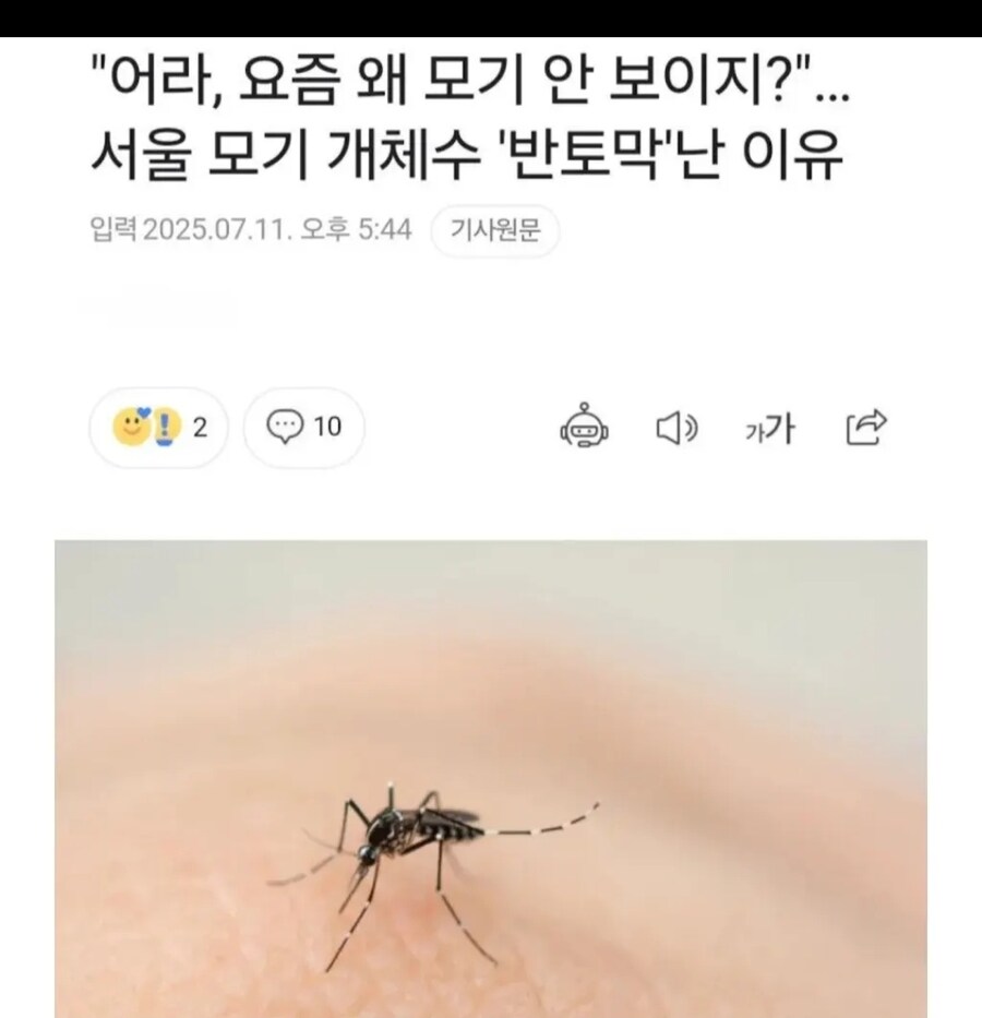 서울 러브버그와 등가교환된 생물ㅋㅋㅋㅋ_1.jpg