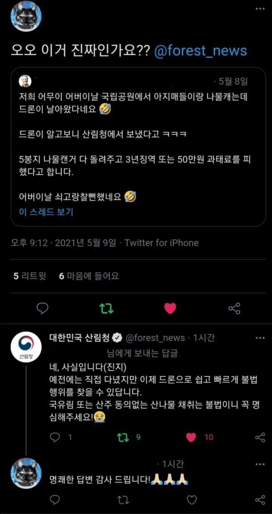 국립 공원에서 나물을 캐면 생기는 일.jpg_1.png