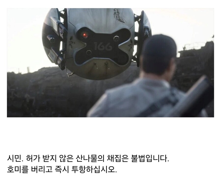 국립 공원에서 나물을 캐면 생기는 일.jpg_2.jpg