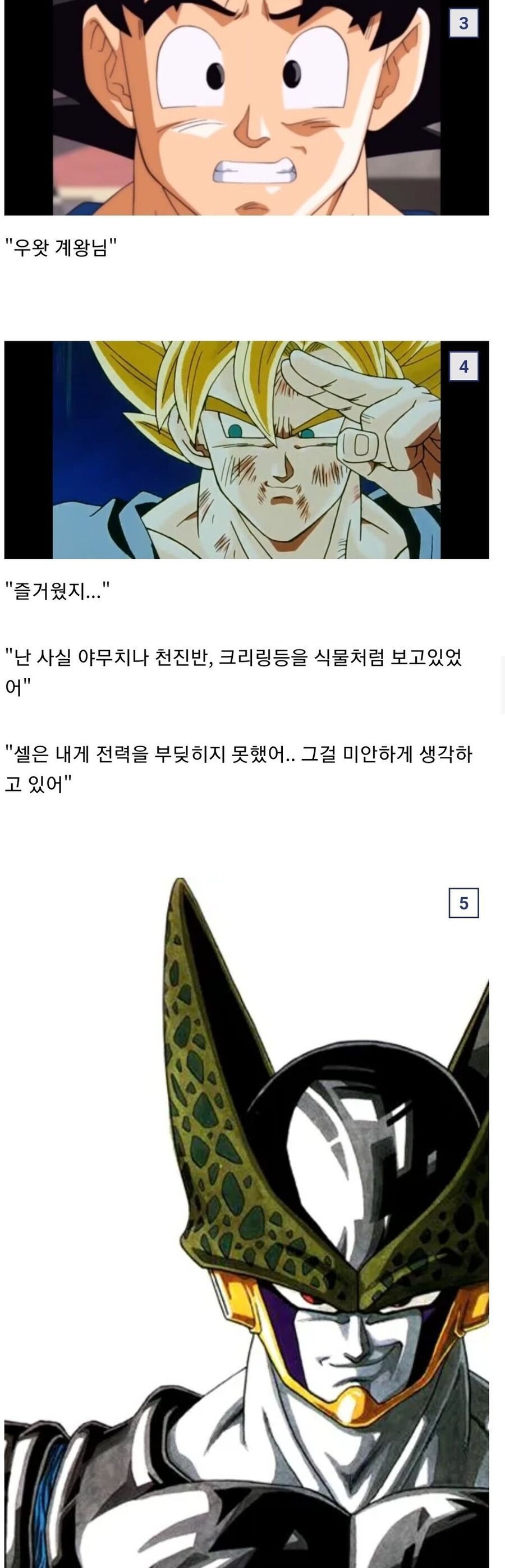 주술회전 전개로 보는 드래곤볼_2.jpg