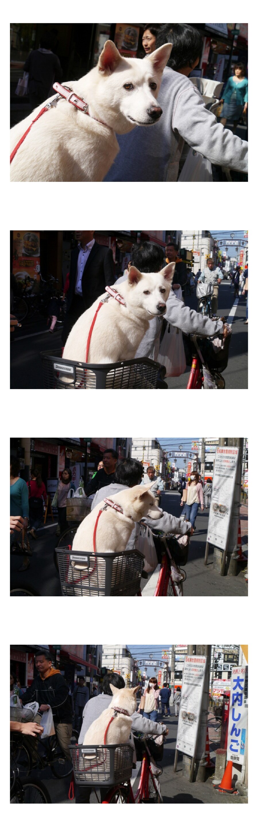 길가다가 전여친이랑 눈마주쳤을때_1.png