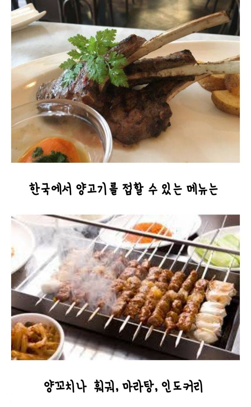 한식으로 된 요리법이 하나도 없는 고기._2.jpg