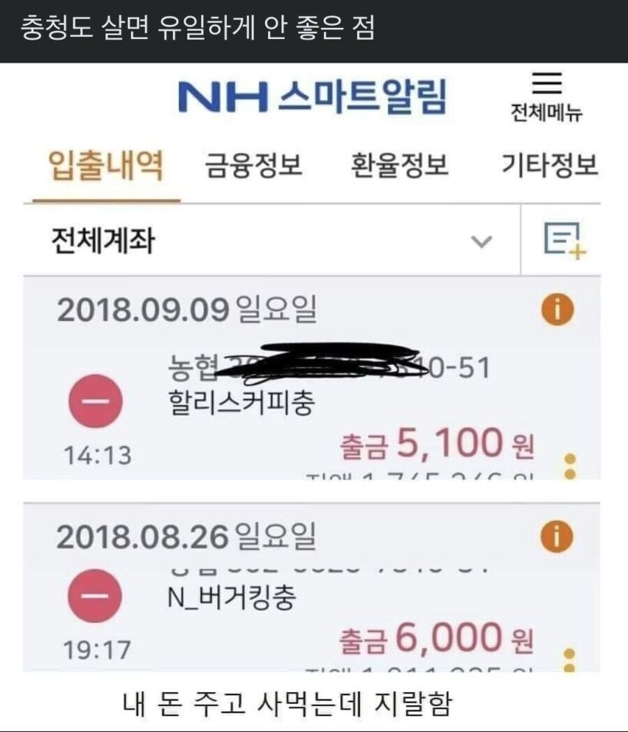 충청도 살면 유일하게 안 좋은 점_1.jpg
