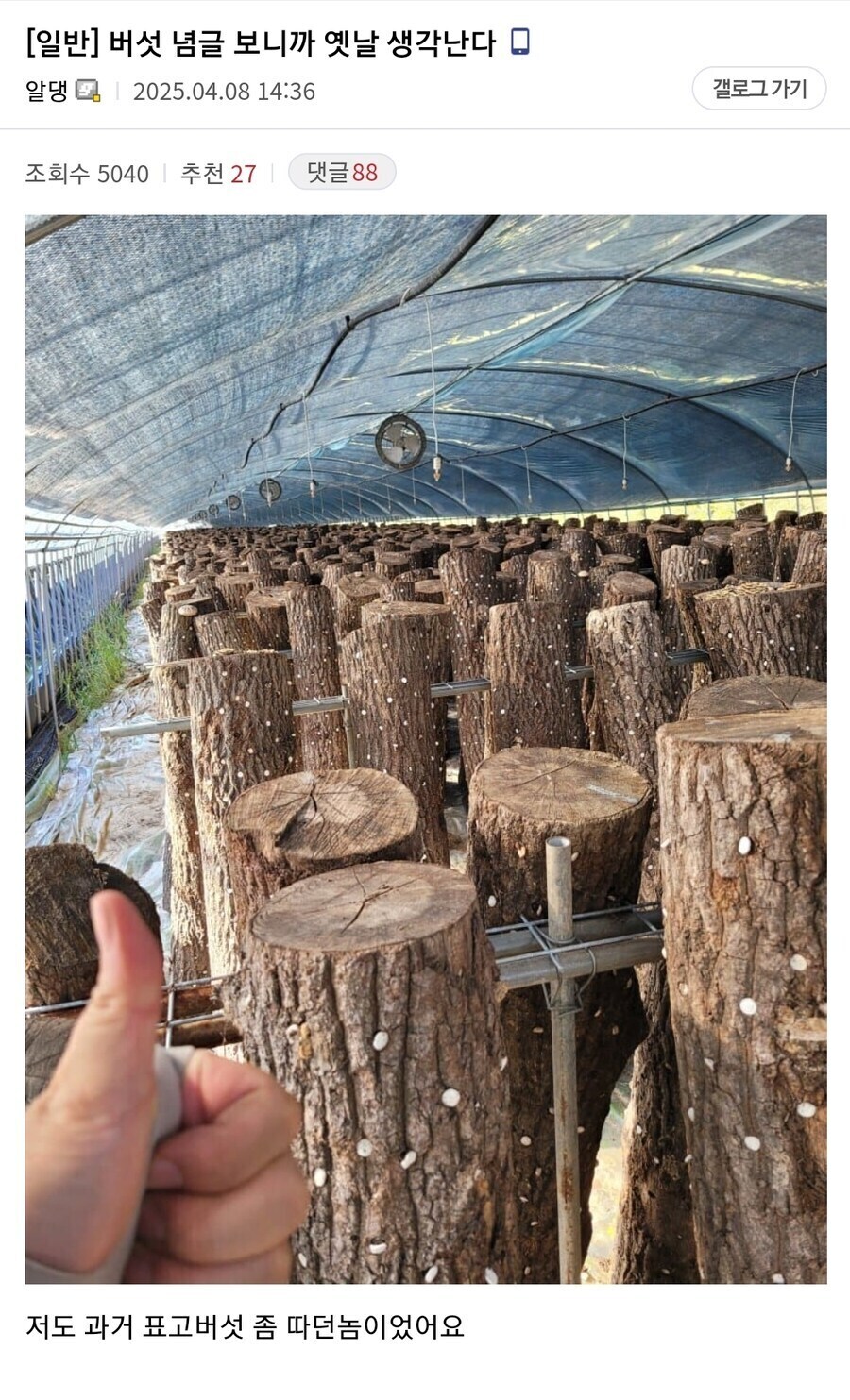 표고버섯 농장에서 수확할수 있는것_1.jpg