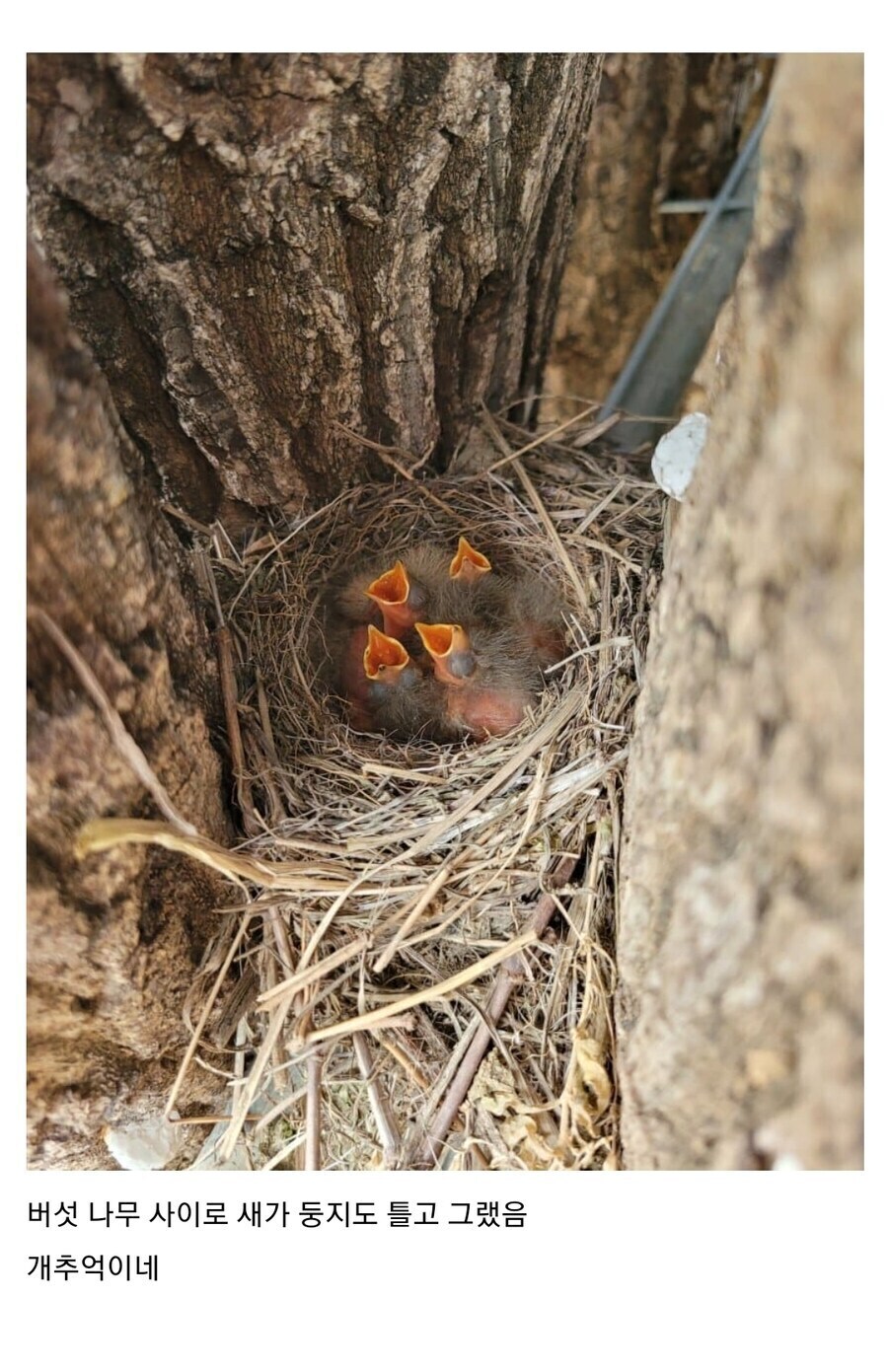 표고버섯 농장에서 수확할수 있는것_2.jpg