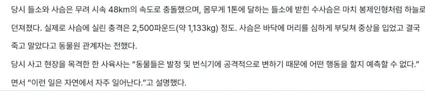 발정난 수사슴의 최후_5.jpg